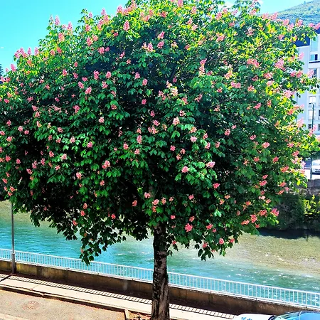 Ξενοδοχείο Christina 3*